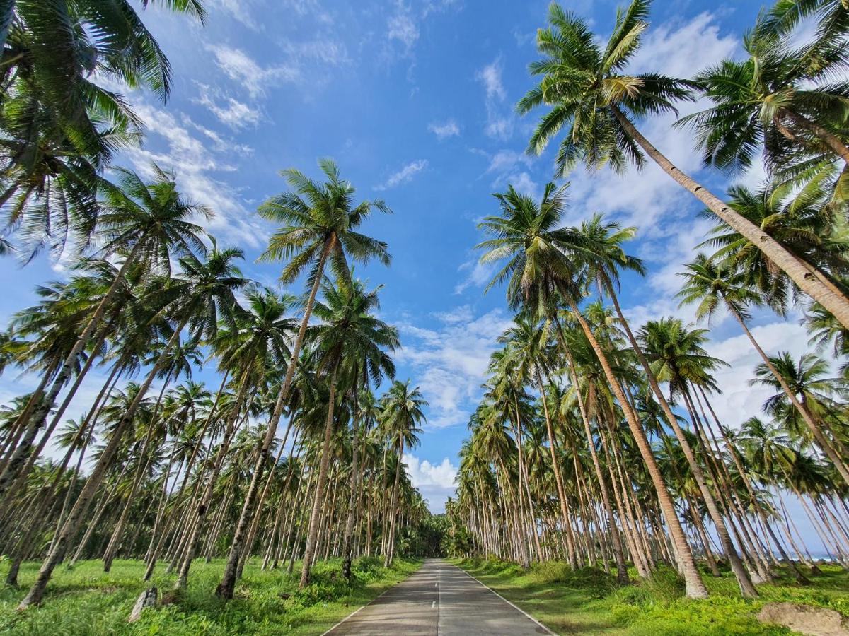 Bed and Breakfast Coleto Siargao San Isidro  Экстерьер фото